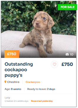 Basic advert