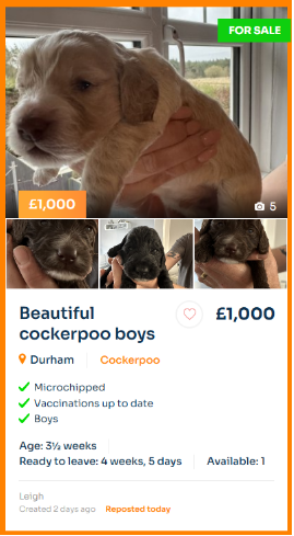 Premium advert