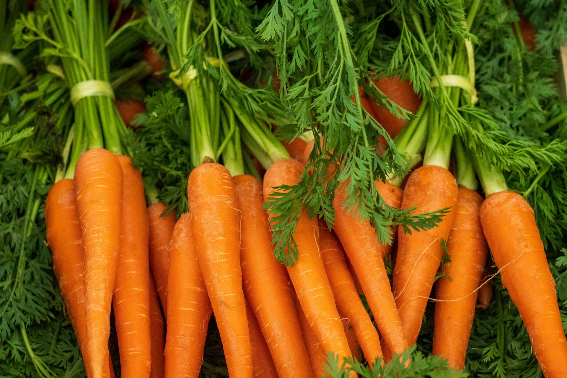 Vegan diet - carrots