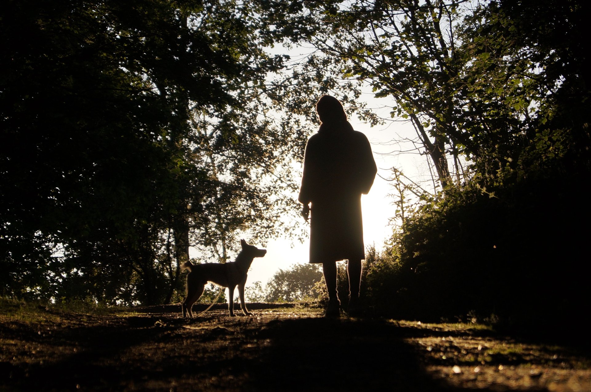 Walk shorter distances with your dog when it's cold